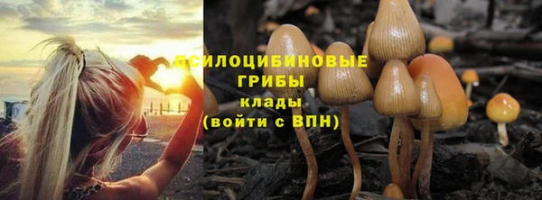 ешки Горно-Алтайск