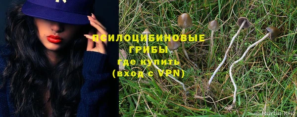 apvp Горняк