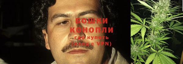 apvp Горняк
