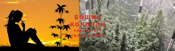 apvp Горняк