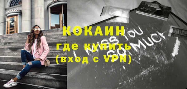 apvp Горняк