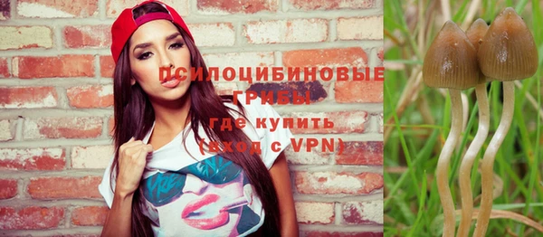 ешки Горно-Алтайск
