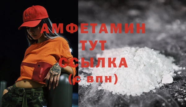 apvp Горняк