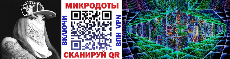 Купить Оха Галлюциногенные грибы MAGIC MUSHROOMS