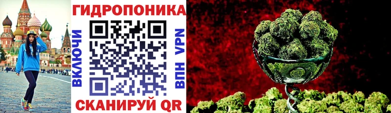 Шишки марихуана OG Kush Оха